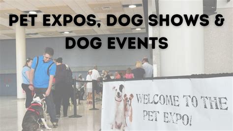 dog shows in Ottawa